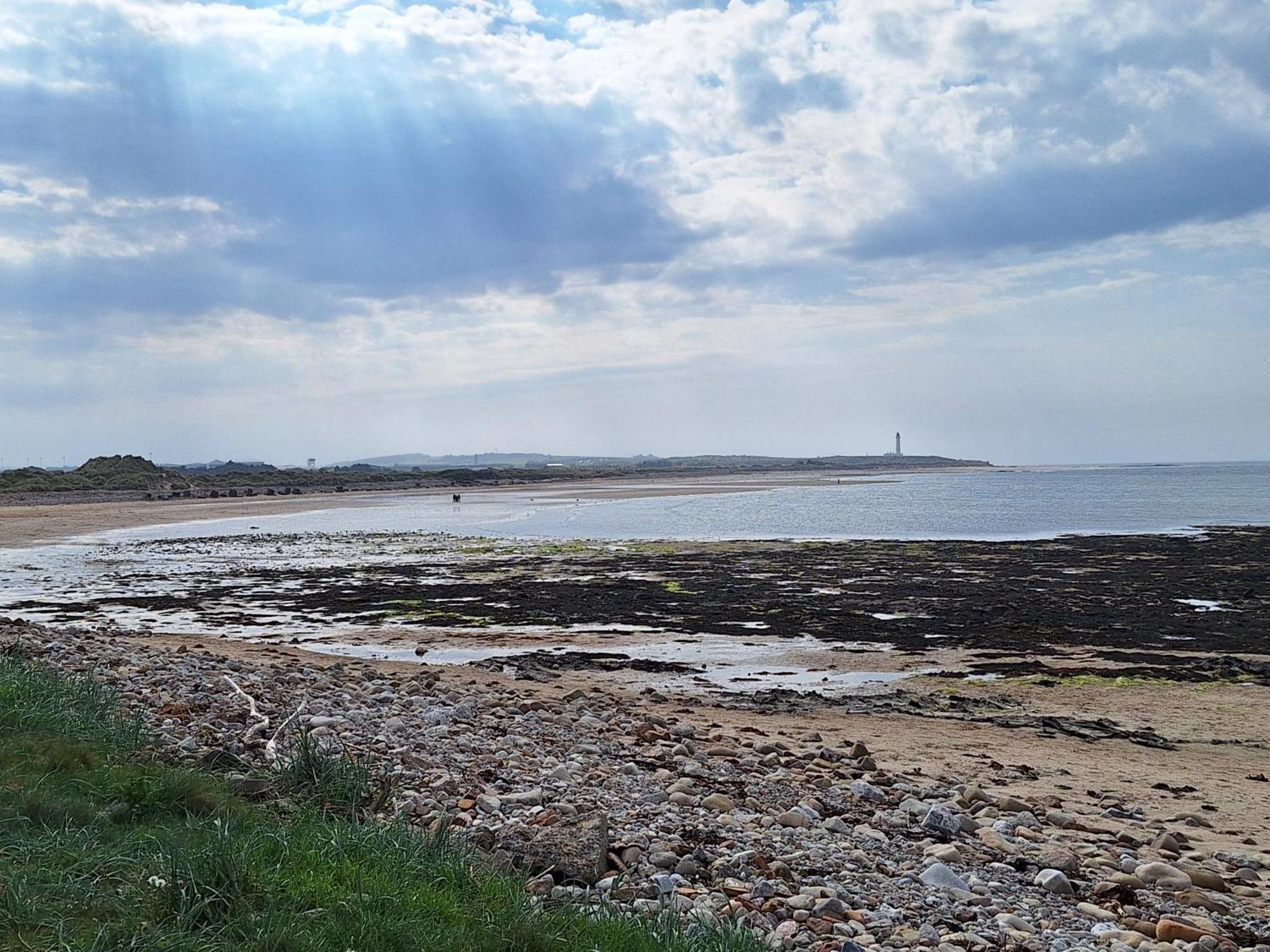 1 Fulmar Road**Next To West Beach And Golf Course Lossiemouth Exterior photo